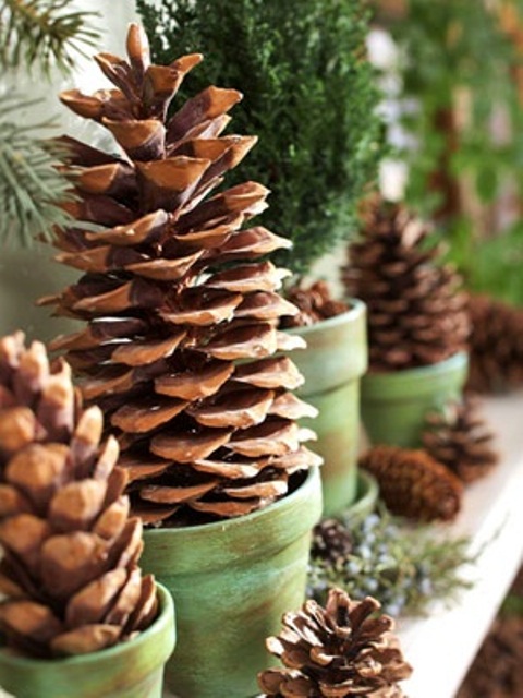 Pinecone topiaries would look great as indoors as outdoors. A mantel and some side table are perfect are as good places for such arrangement as a front porch.