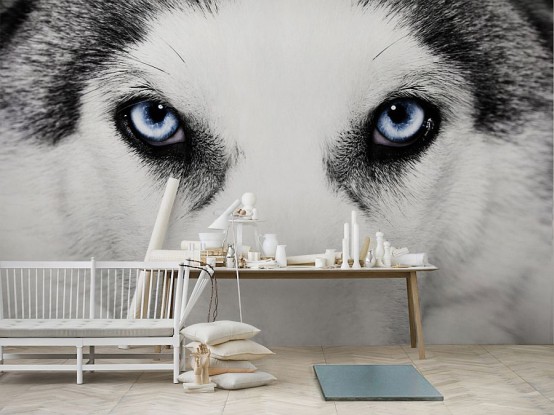 a neutral space done with a husky eyes wall mural that makes a bold statement