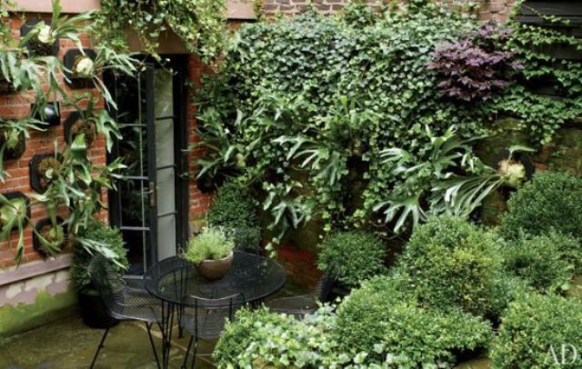 A small townhouse garden with potted and planted greenery, a wall mounted garden plus a metal and glass dining set
