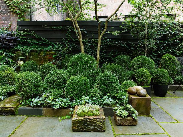A small townhouse garden with planted greenery and trees, a living wall and some stone bow flower beds