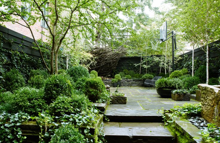 A lush townhouse garden with a stone deck and steps, living walls and potted greenery plus a basketball ring