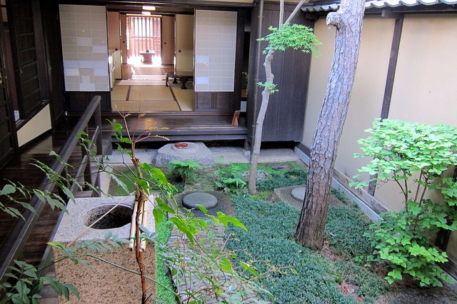 A zen townhoue garden with greenery, a tree, stones and rocks inspired by traditional Japanese esthetics