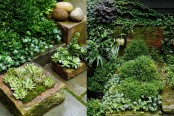 lush planted greenery and succulents in flower boxes and pots for a courtyard garden