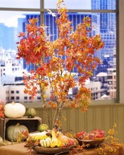 a rustic Thanksgiving centerpiece of bold leaves on branches, gourds and pumpkins and some leaves on the table
