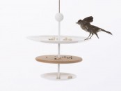 Bird Feeders In Shapes Of Tableware