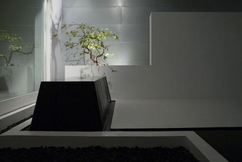 Black exterior japanese house design  3