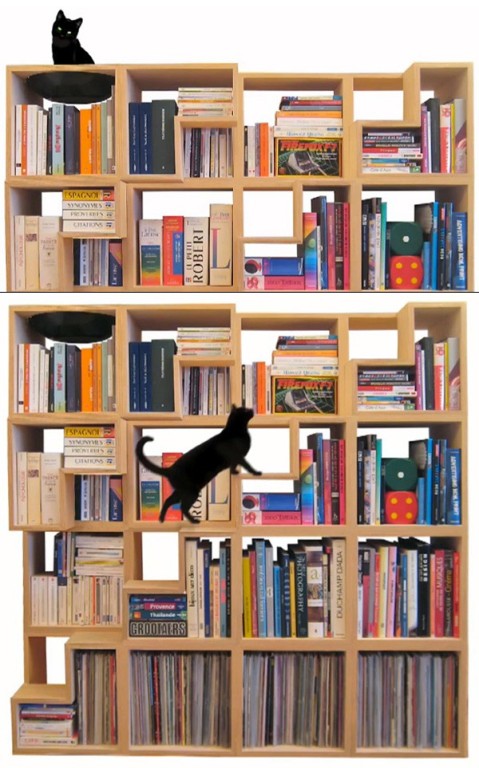 A Bookcase For You And Your Cat