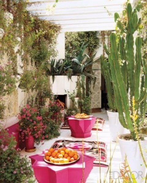 a modern Moroccan patio with hot pink furniture, potted greenery, blooms and rugs