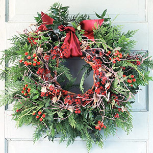 christmas nature wreath