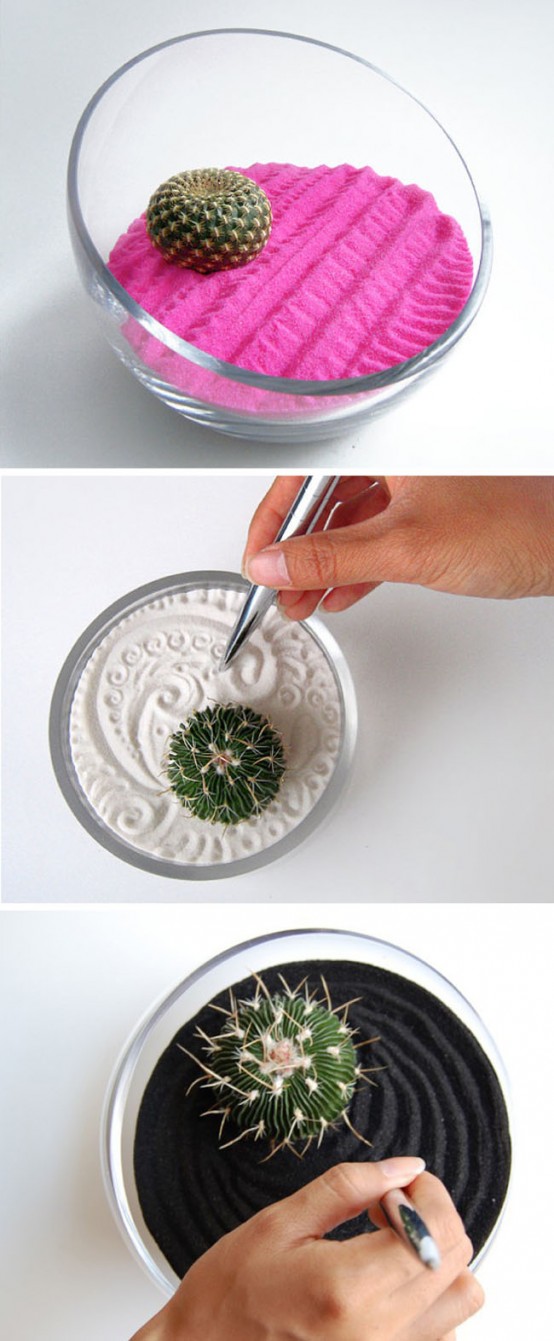 Colorful Zen Gardens With Cactuses You Can Modify
