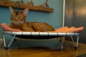 Comfortable Hammock Beds For Cats