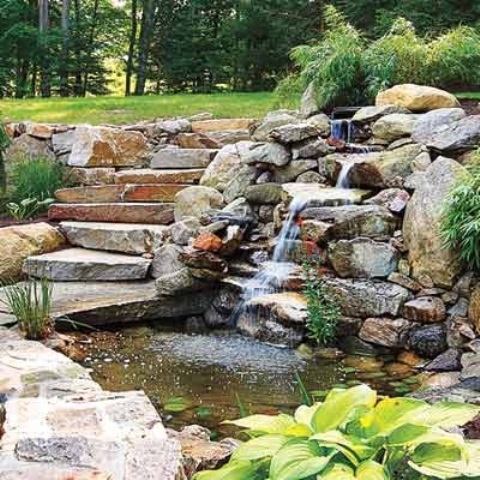 A backyard waterfall might easily become a focal point of your garden.
