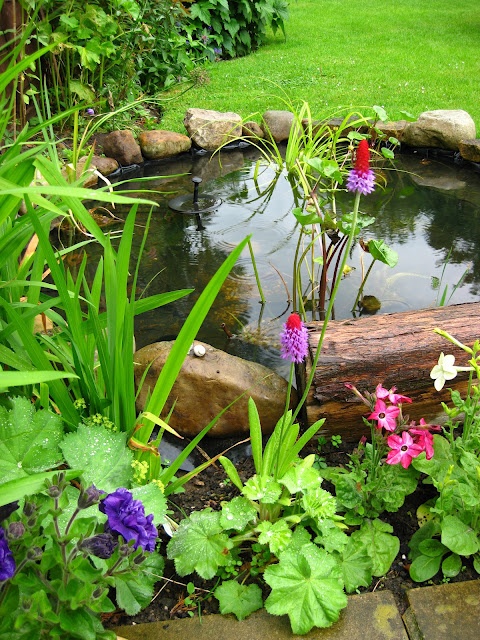 Lawn is also a great surrounding to a backyard's pond.