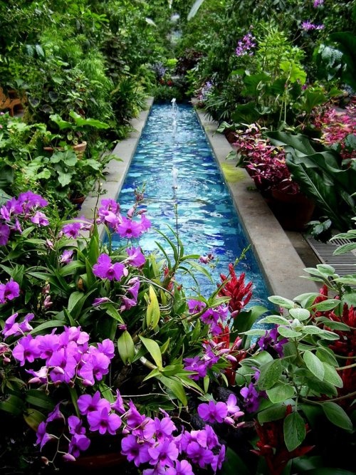 As you can go with natural pond borders, you can go with more man-made looking walls to make it look more contemporary.