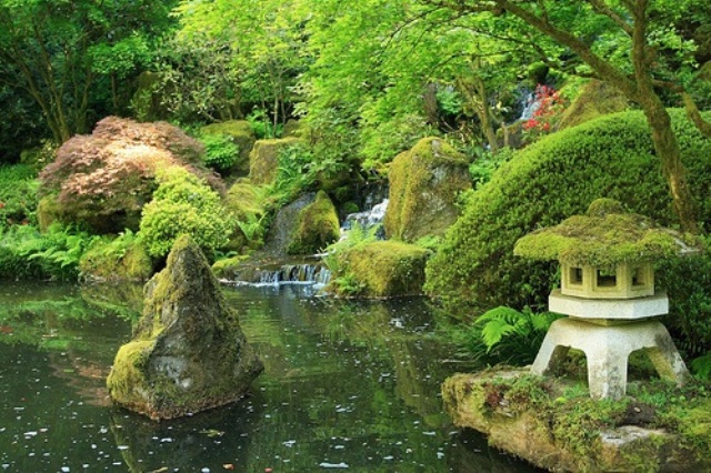 Japanese ponds could provide inspiration for any backyard pond construction.