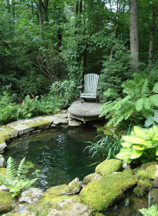 A cozy chair is the most simple solution to admire your pond surrounded by trees and other plants.