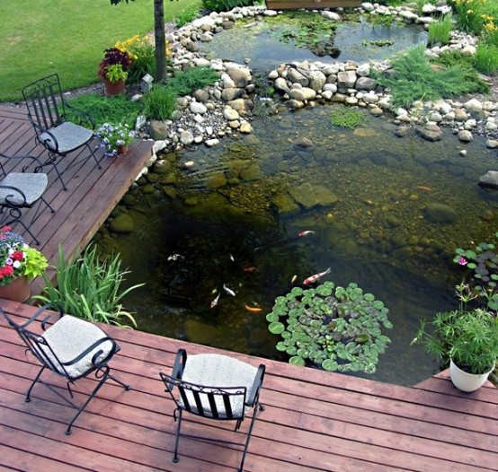 Checking what fishes are doing right from your terrace could take spending time there on the another level.