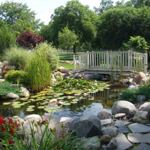If your pond is large enough don't forget to add a wooden bridge to it. It's perfect way to connect several backyard's zones.