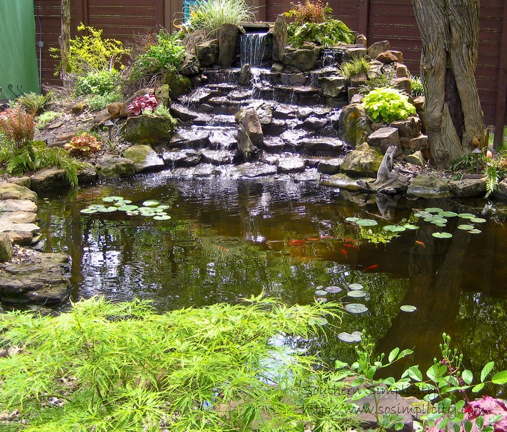 A waterfall made of stone is one of those things that could become a focal point of any pond.