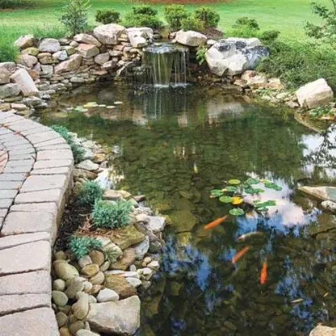 Even a small waterfall is a nice addition to a pond.