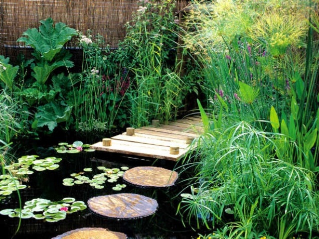 With some planing you can even walk through your pond. Just don't forget to add stepping stones.