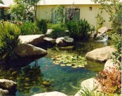Cool Backyard Ponds