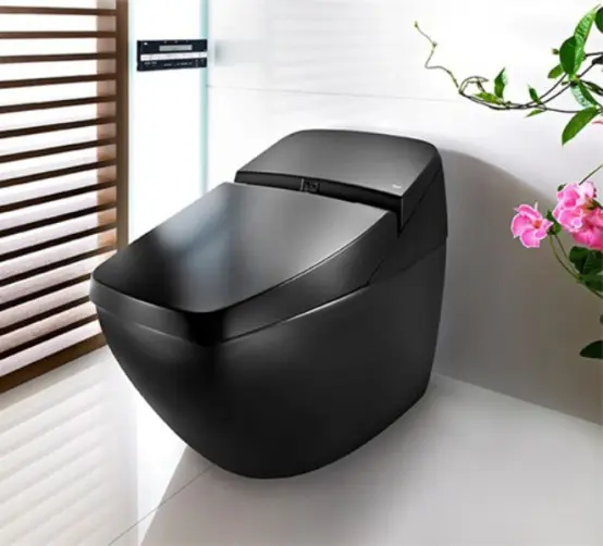 Cool Black Toilet With High Technologies