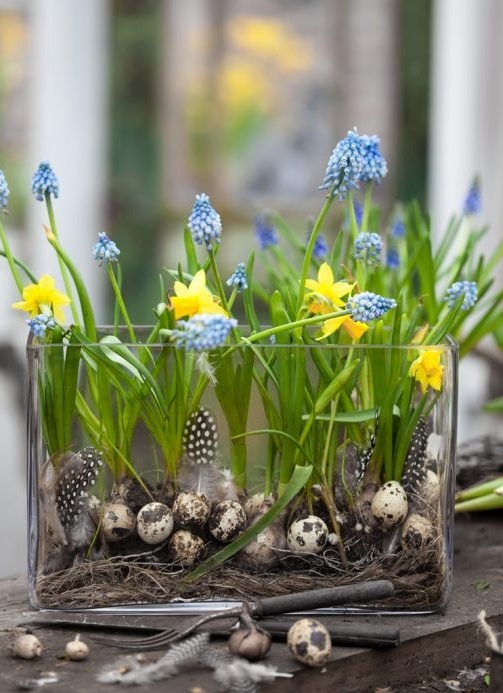 a glass vase with mini fake eggs and feathers, with daffodils and hyacinths is a pretty and cool idea for spring or summer