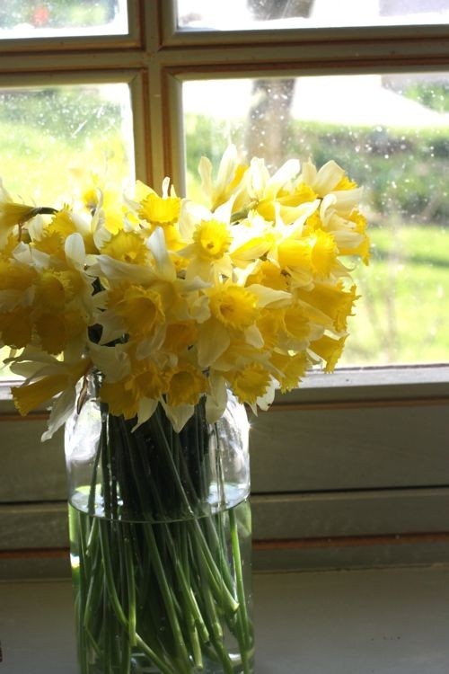 a jar with daffodils is a timeless spring decoration for indoors and outdoors, it's fresh and cool