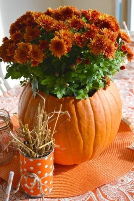 a carved orange pumpkin as a vase and an arrangement of orange blooms is fall classics