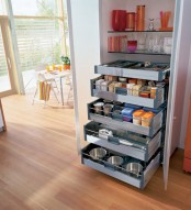 a built-in pantry with glass shelves and several drawers for storage and even pets’ bowls down there