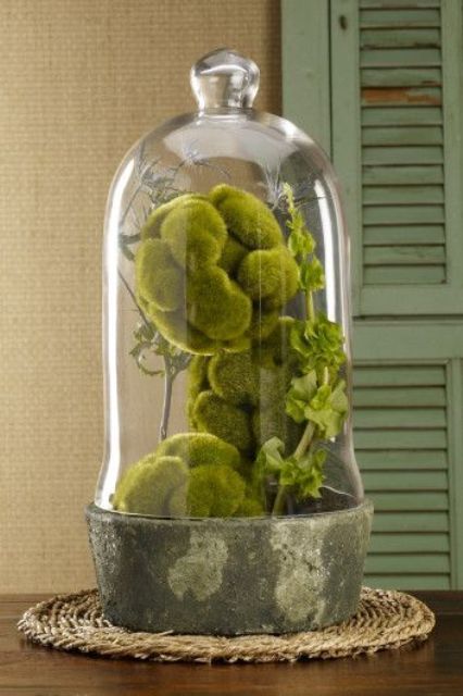 a moss centerpiece made of a cloche and several moss ball placed on a jute rug for a rustic feel