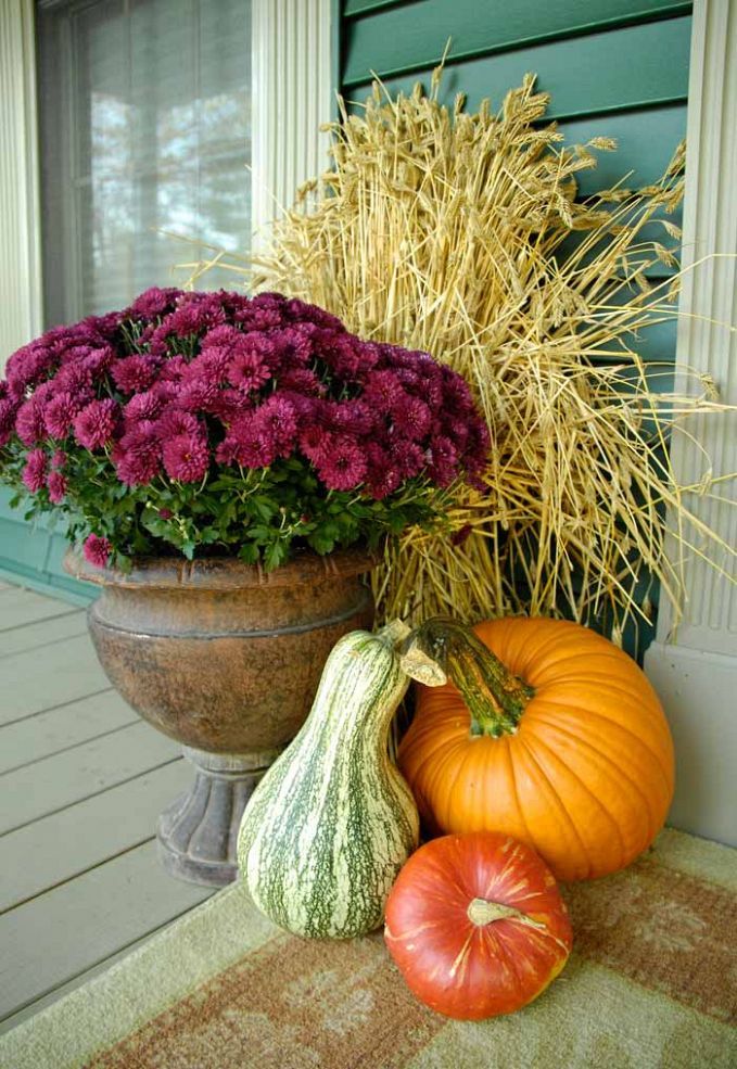 Farmhouse porch decor with gourds, pumpkins, purple blooms in a vintage urn and a wheat arrangement placed behind them