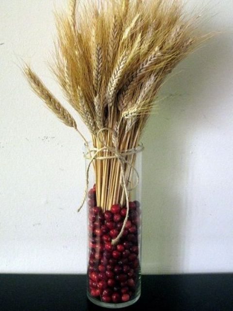 a tall glass vase with cranberries and wheat is a lovely centerpiece and decoration for the fall