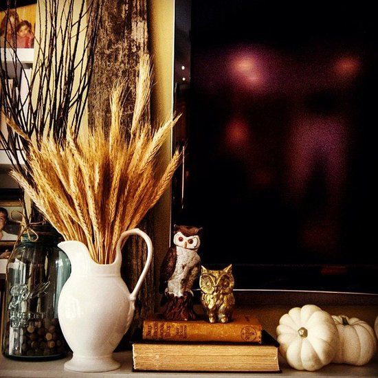 a white jug with wheat is a lovely fall decoration or centerpiece that will add a cozy rustic feel to any space