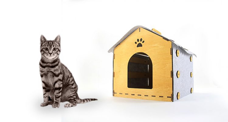 Cozy Indoor Cat House Designed In Wood And Felt