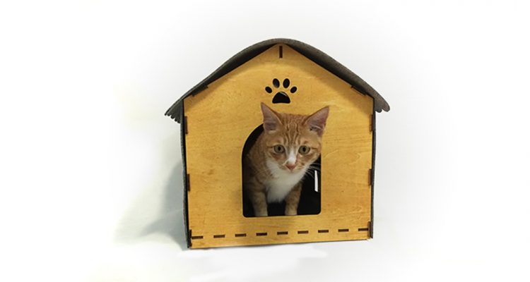 Cozy Indoor Cat House Designed In Wood And Felt