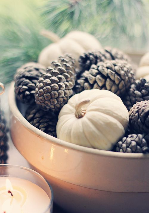 a fall centerpiece of a white bowl, pinecones and white pumpkins is a casual decoration for the fall