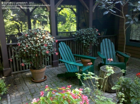 a simple rustic patio with green wooden chairs and lots of potted greenery and blooms