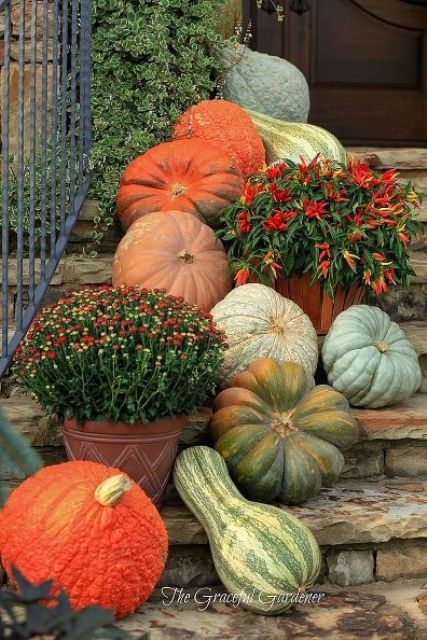 Fall gourds easily come together to make a simple outdoor decoration. Simply arrange any colorful pumpkins, squash, and other gourds on your front steps.
