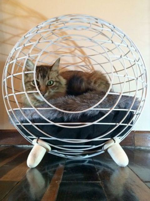 a wire sphere cat bed on wooden legs, with comfy faux fur inside is a very cool and modern option that won't spoil your interior