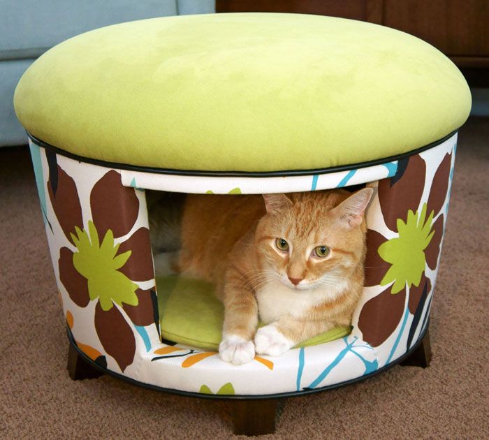 A colorful ottoman that doubles as a cat bed is a nice retreat to hide and is a comfy space to relax inside