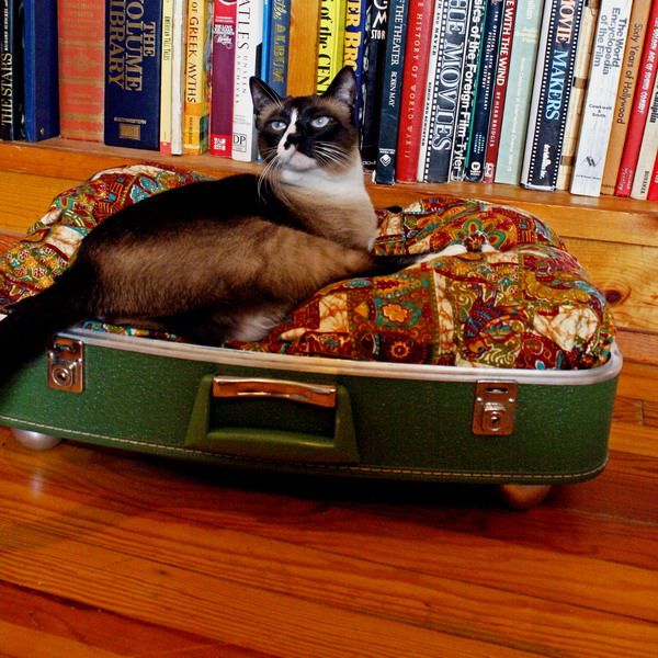 A bright pet bed made of a green suitcase and a bright printed cushion   place it on casters to make moving it easy