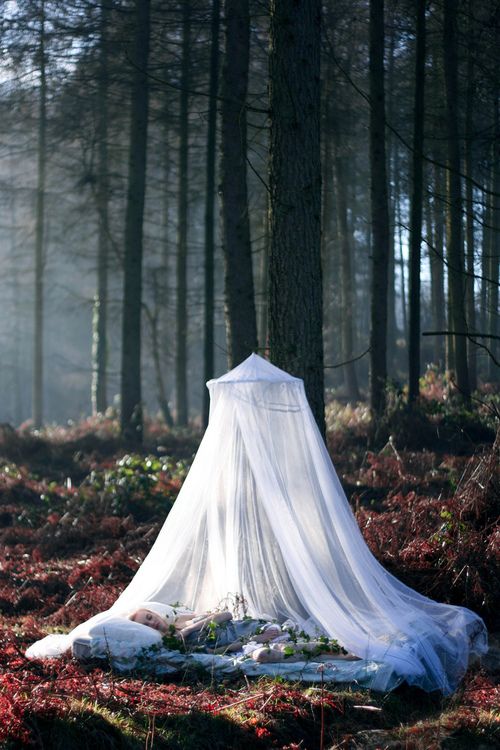 a daybed right in the forest and a mosquito net over it to save the sleeping person from bugs