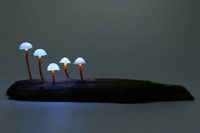 cute-and-whimsy-little-mushroom-lamps-1