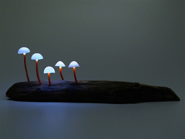 Cute and whimsy little mushroom lamps  1