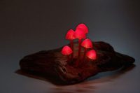 cute-and-whimsy-little-mushroom-lamps-5