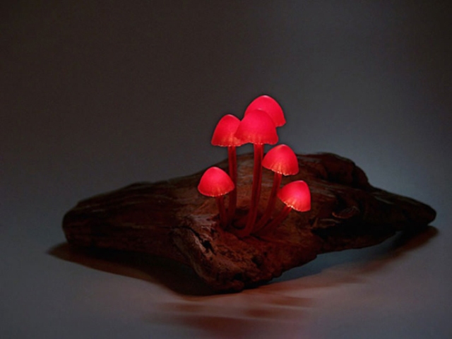 Cute And Whimsy Little Mushroom Lamps