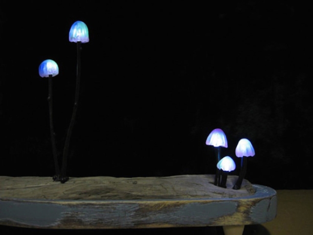 Cute and whimsy little mushroom lamps  8