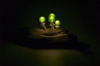 cute-and-whimsy-little-mushroom-lamps-9